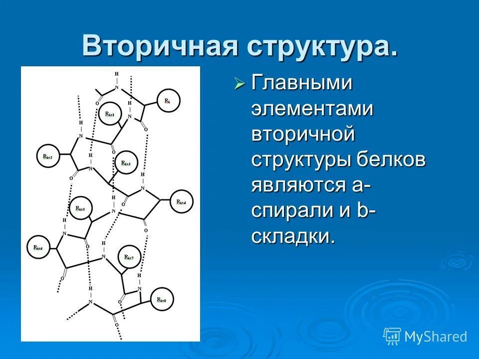 Что такое первичная структура белка биология 10 класс. Структурные компоненты белков. Строение аминокислоты белка. Коллагеновая структура белка. Аминокислоты – структурные элементы белков;.