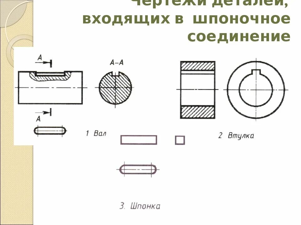 Соединение валов шпонкой. Рис 245 сборочный чертеж шпоночного соединения. Шпоночное соединение на валу чертеж. Шпоночное соединение чертеж рис 230. 2 Шпоночных паза на чертеже.