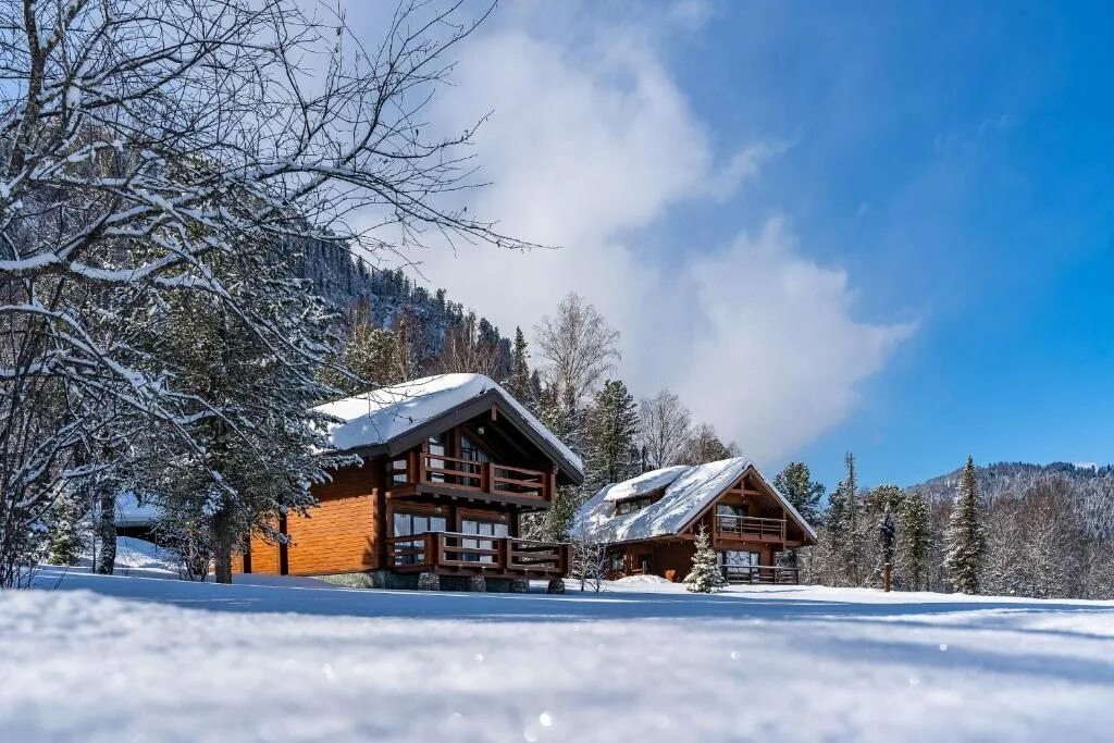 Altay village. Шале Алтай Вилладж Телецкое. Алтай Вилладж Телецкое зима. Телецкое озеро отель Вилладж. Телецкое озеро отель Алтай Виладж.