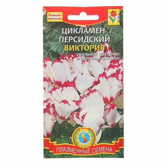 Цветы почтой наложенным. Цикламен Арлекин персидский 3шт Гавриш. Гавриш цикламен персидский Хайн.