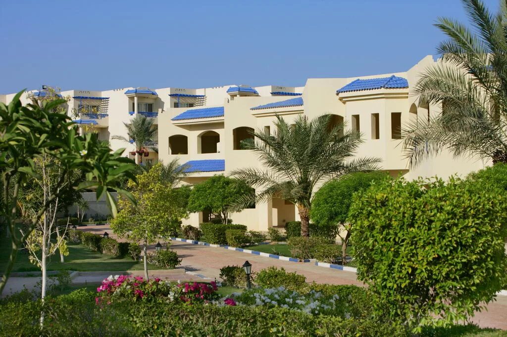 Grand oasis resort отзывы 2023. Grand oasis resort отзывы 2023. Гранд оазис шарм-эль-шейх. Grand oasis resort отзывы 2023. Аа гранд оазис резорт шарм-эль-шейх.