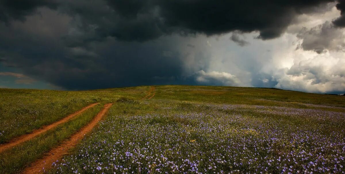 дождик в поле. лето гроза. красивая природа перед грозой. поле после дождя. поле после дождя.