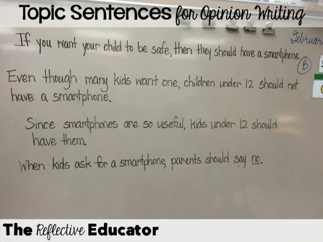 Topic sentence. Hook sentences for the essays примеры. Opinion fact sentences. Topic sentence examples. Writing topic sentences