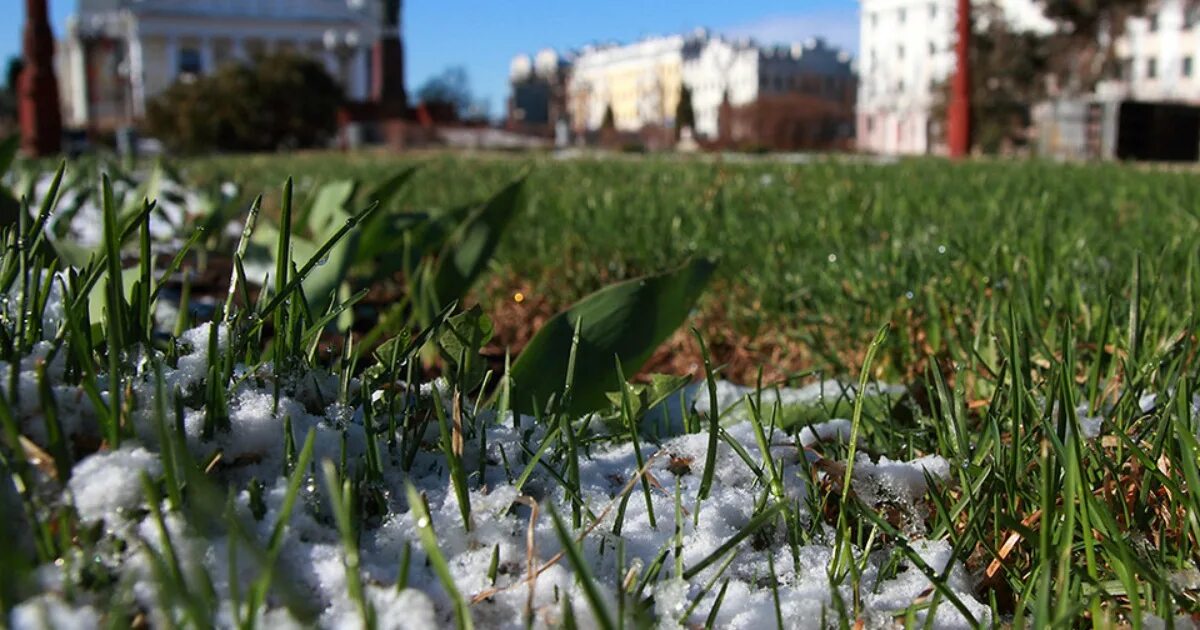 Заставка Гидрометцентр. Погода. Гидрометцентр в Минске фото. Гидрометцентр увы.