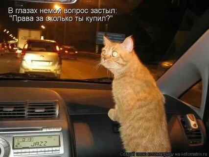 Включи говорящие машины