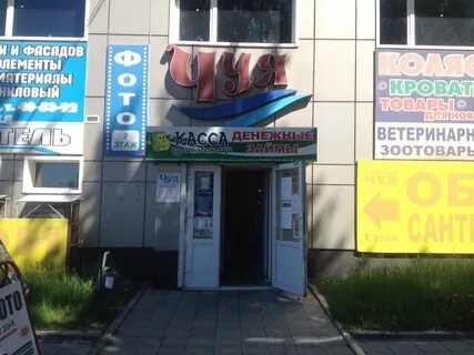 Чуя бийск
