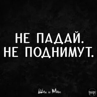 Цитаты о мате