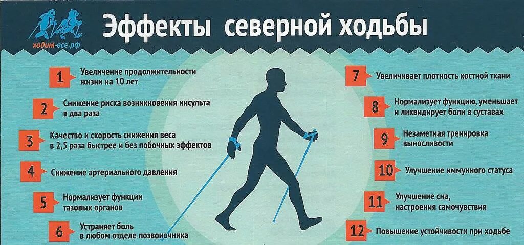 Нагрузка на организм после. Скандинавская ходьба польза. Плюсы скандинавской ходьбы. Эффективность скандинавской ходьбы. Польза от скандинавской ходьбы.