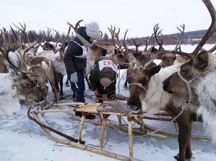 Иенгра