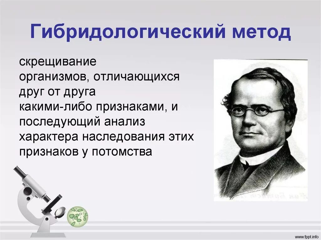 Гибридологический метод генетики. Методы изучения генетики. Методы исследования генетики человека. Гибридологический метод изучения наследственности.