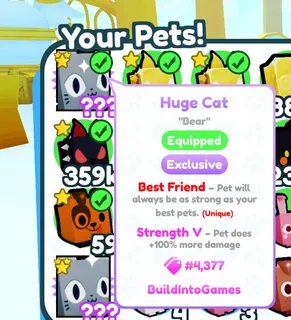 Huge pet x