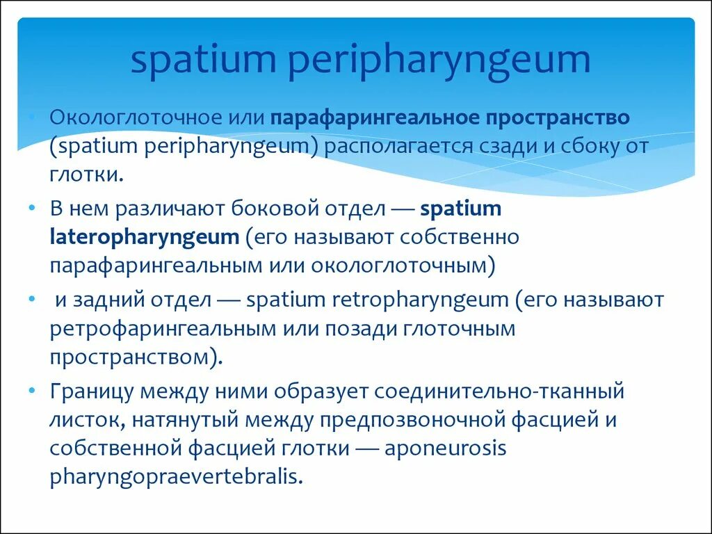 Spatium retropharyngeum. Spatium peripharyngeum. Парафарингеальное пространство. Окологлоточное или парафарингеальное пространств. Spatium retropharyngeum расположено между.