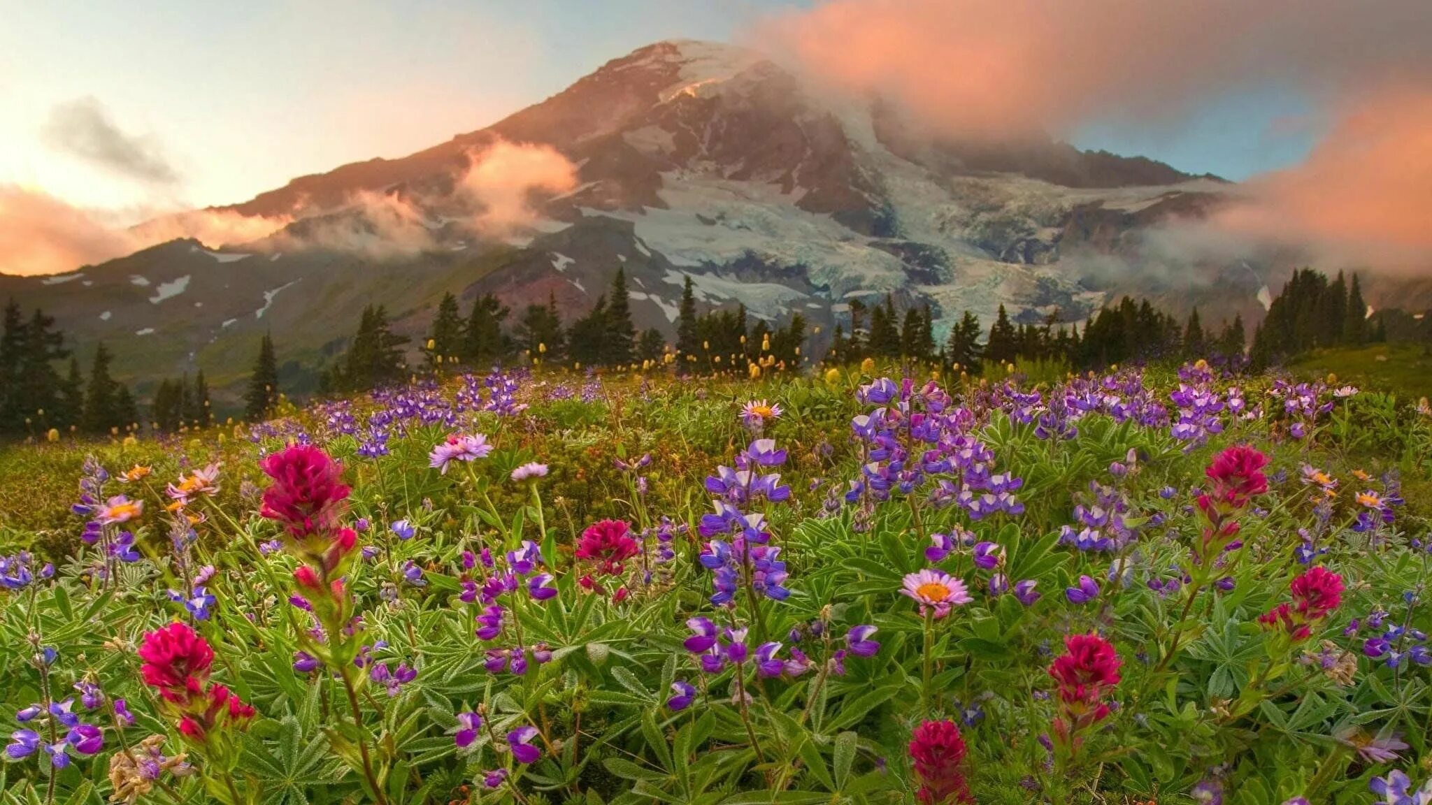 Чудесные картинки. Красивые зелёные горы и цветы. Доброе утро Долина цветов. Фотообои Долина из цветов. Долина с цветами реальн.