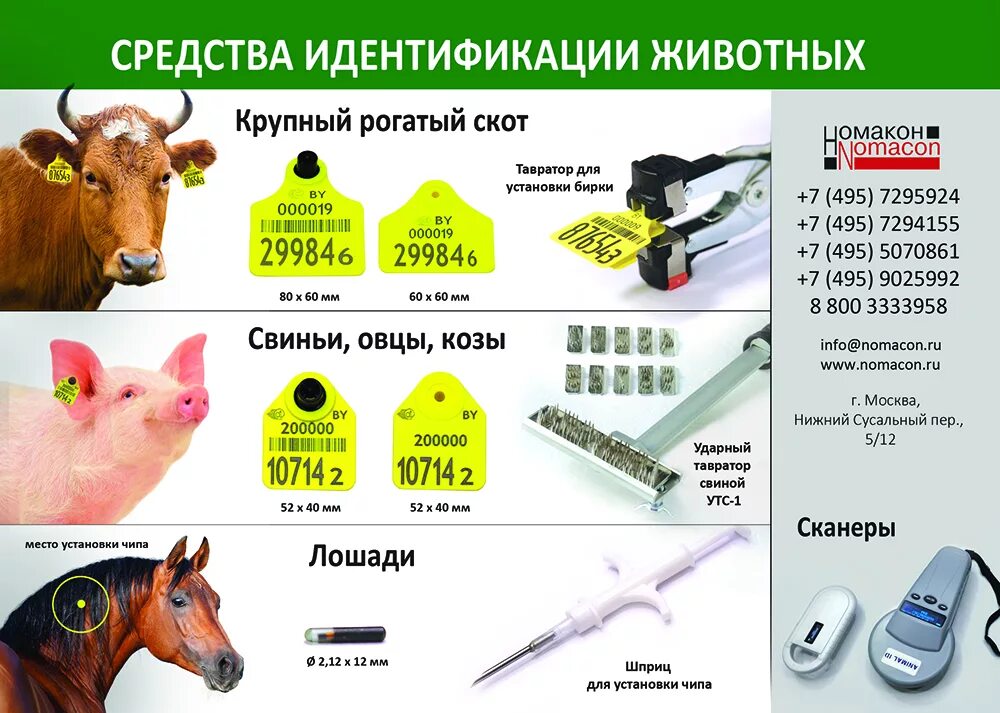 Сроки животных