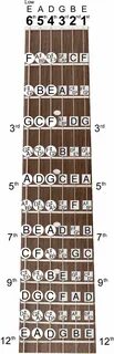 Guitar notes