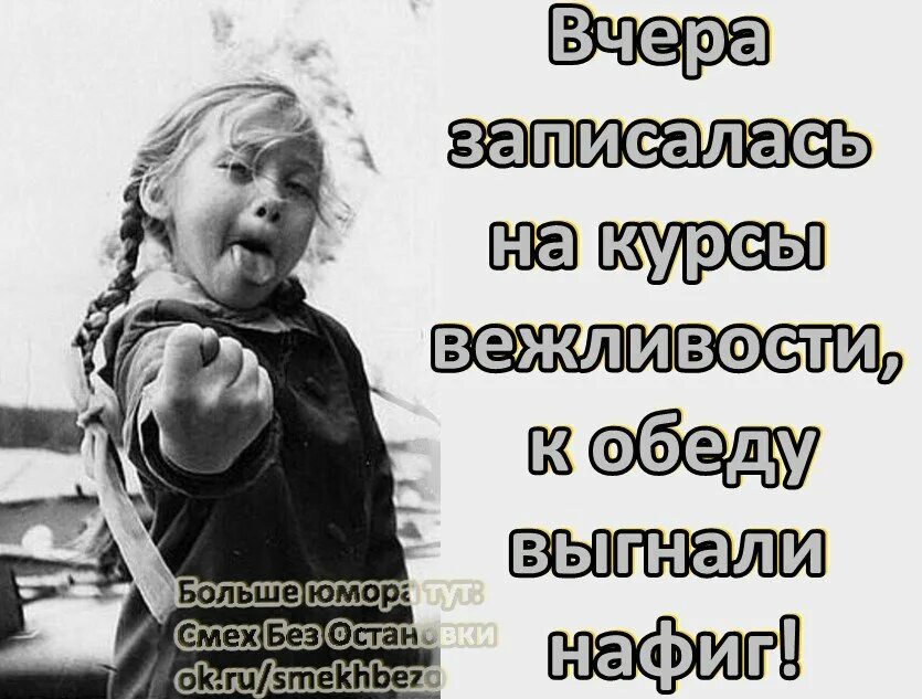Смех и юмор. Записалась на курсы вежливости. записалась на курсы вежливости к обеду. смех юмор. цитаты про юмор и смех.