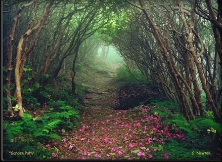 Lead up the garden path