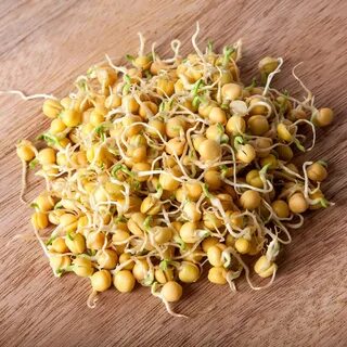 Какой горох прорастает
