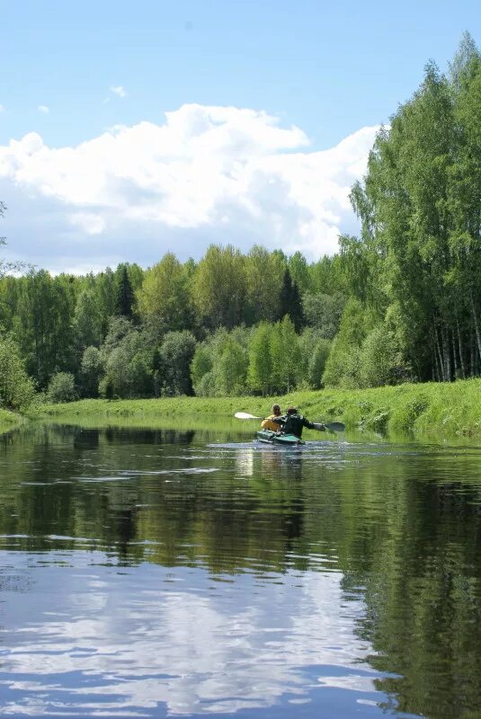 Река сить русь. Река сить в Ярославской области. Река сить Вологодская область. Брейтово река сить. Река сить в Станилово.