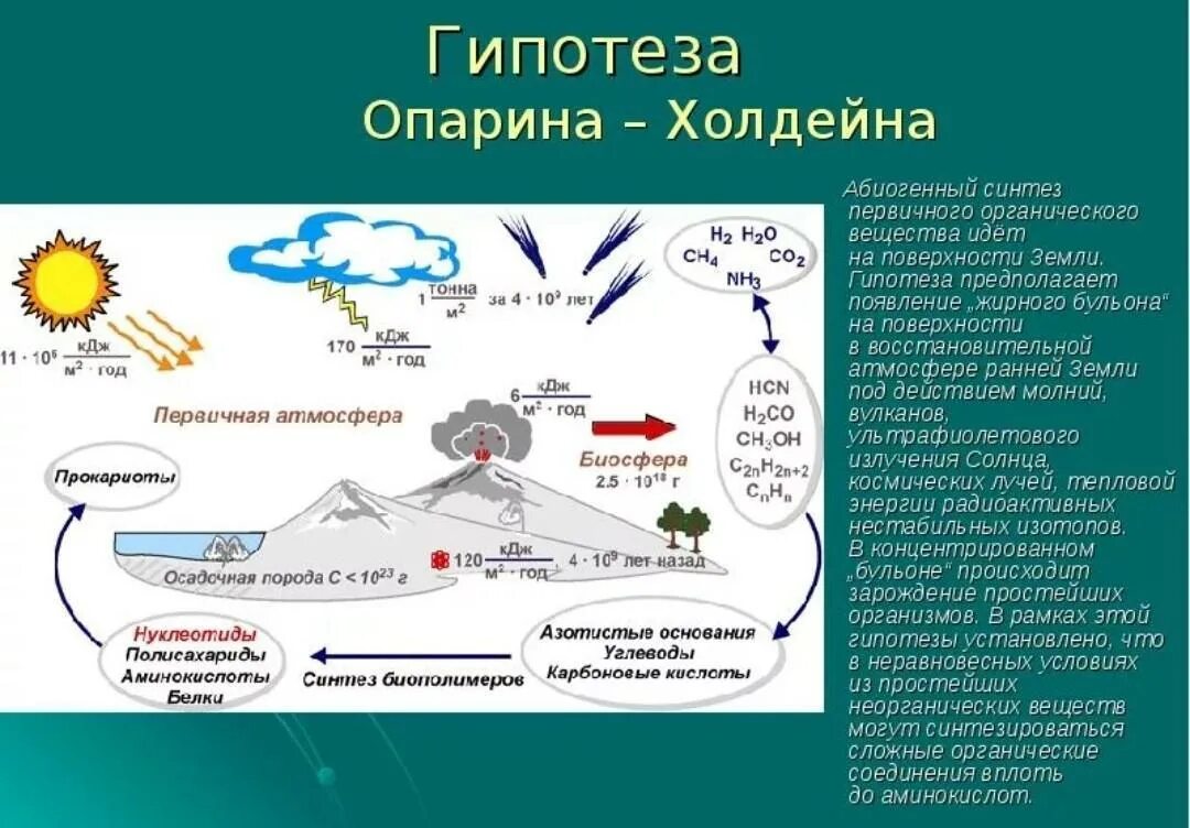 Биохимическая теория Опарина и Холдейна. Теория биохимической эволюции теория Опарин. Этапы эволюции жизни по теории Опарина. Биохимическая Эволюция Опарина Холдейна.