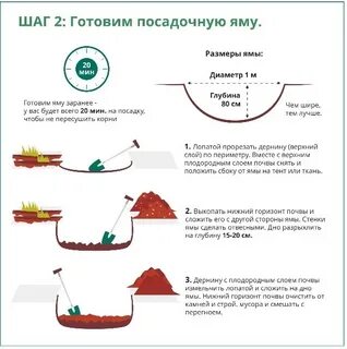 Приготовлен для посадки