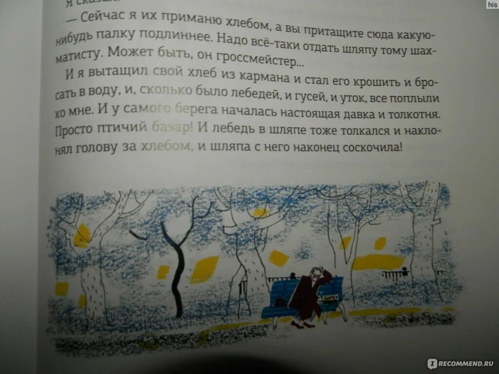 Читать дзене житейские рассказы