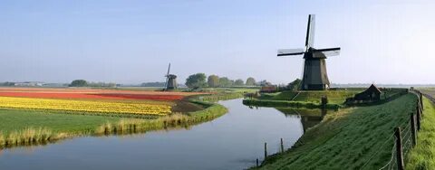 Holland dutch