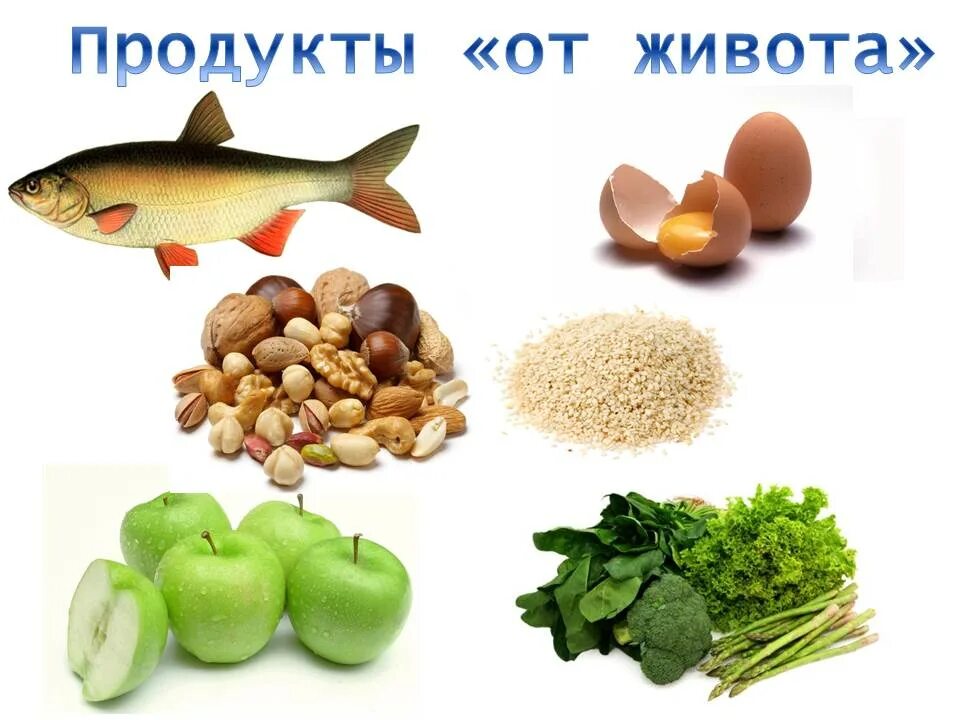 Продукты для похудения живота. Продукты для похудения живо. Продукты которые помогут похудеть. Продукты чтобы убрать живот. Продукты для похудения живота и боков