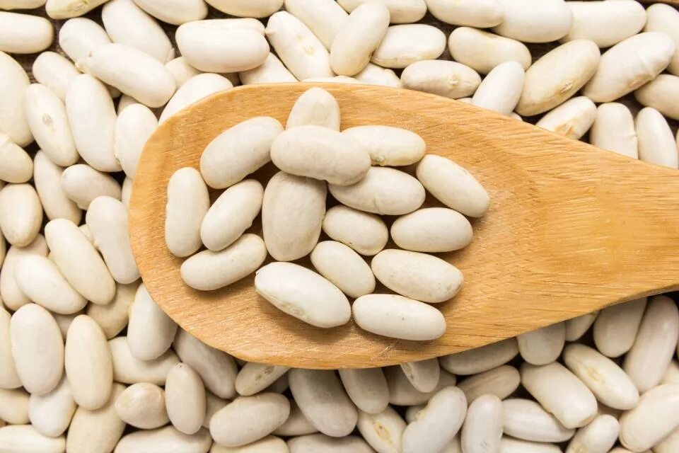 Mock bean. Бобы белый жемчуг. sugar bean. navy beans.