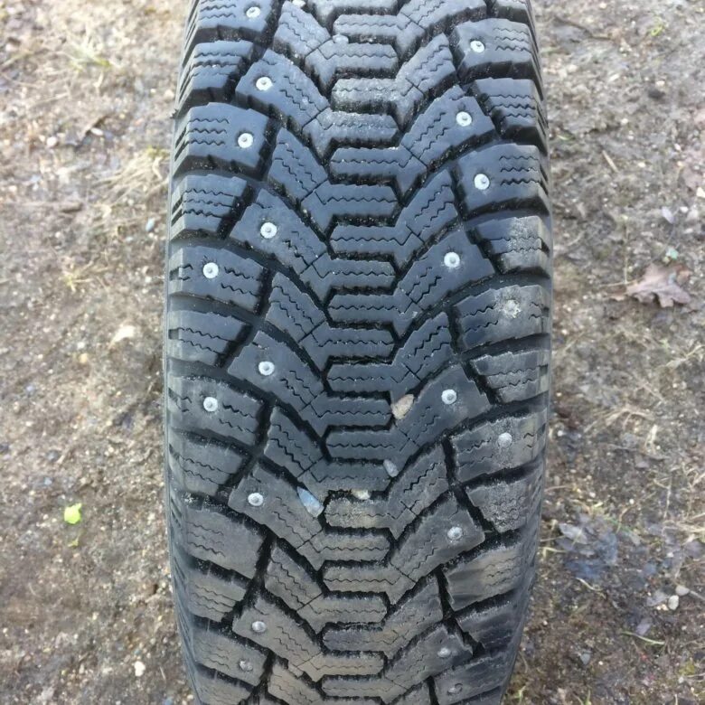 Тунга нордвей r14. Tunga nordway 175/65 r14. tunga nordway. тунга нордвей. тунга нордвей фото.