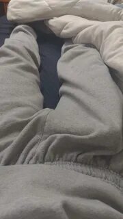 Grey sweatpants boner - pachawasound.com.