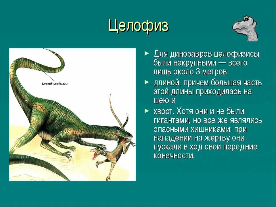 Сообщение о динозаврах 1. Доклад про динозавров. Динозавры описание для детей. Картинки динозавров с описанием для детей. Доклад на тему динозавры.