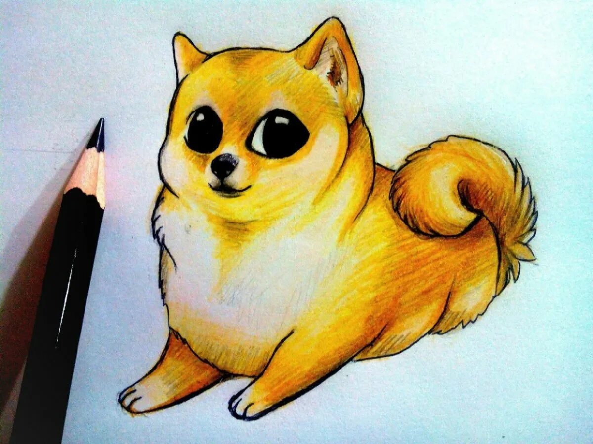 Нарисовать рисунок милый и красивый. Рисунки для срисовки животные. Милые рисунки. Милые рисунки легкие. Милые рисунки животных для срисовки.