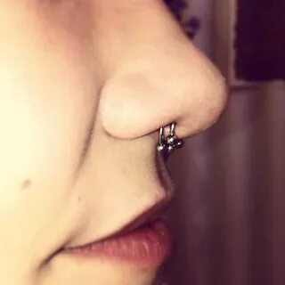 Септум где