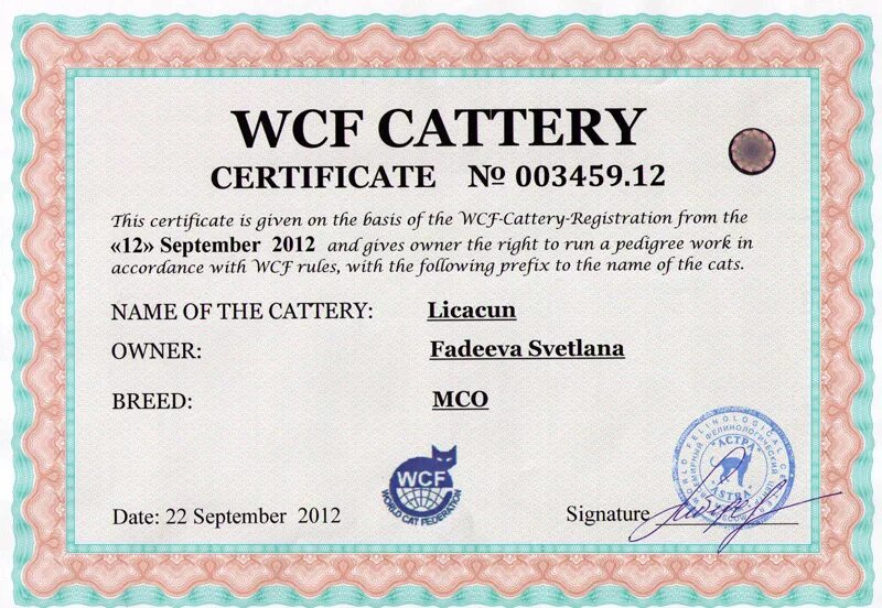 Вцф. Сертификат питомника. Сертификат WCF. Сертификат питомника кошек. WCF регистрационный сертификат.