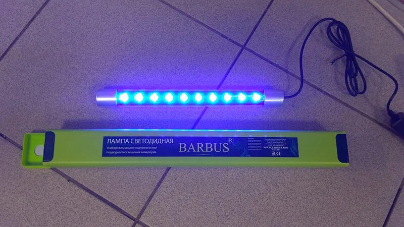 Barbus led