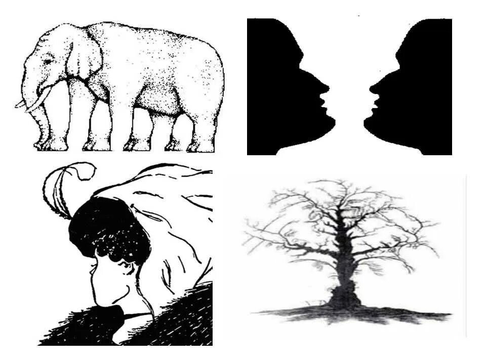 Иллюзии фигуры и фона. Природные иллюзии. Естественные иллюзии. Психологические рисунки.