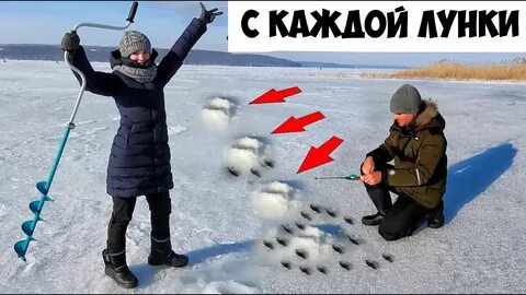 День зимней рыбалки картинки прикольные