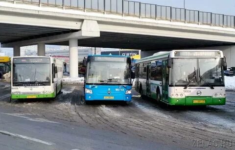 Экскурсии из зеленограда на автобусе