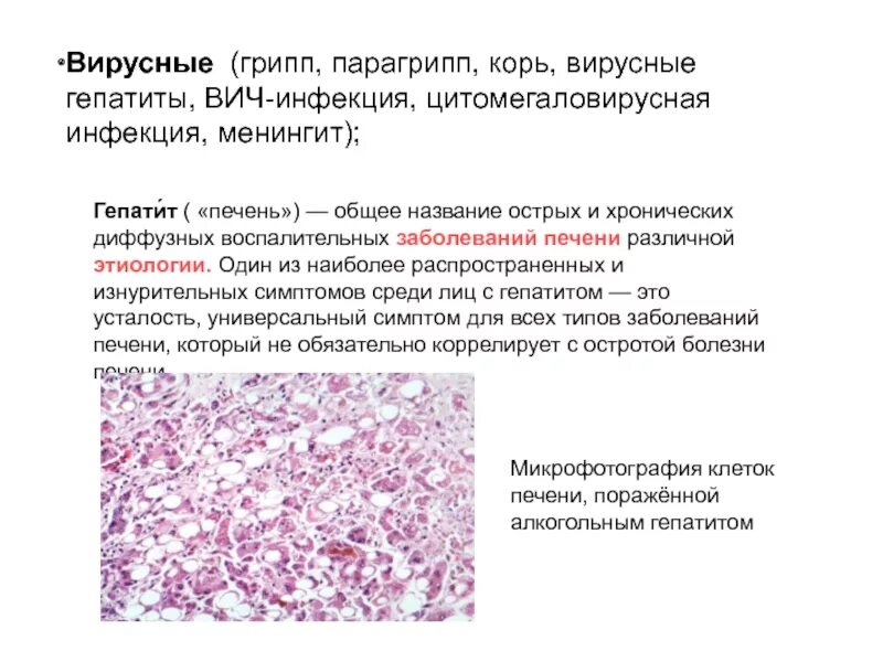 Гепатит корь. Культуры клеток гепатит в.