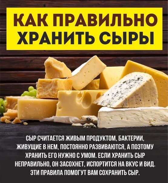 Как хранить сыр после вскрытия. Как правильно хранить сыр. как лучше хранить сыр в холодильнике в домашних условиях.