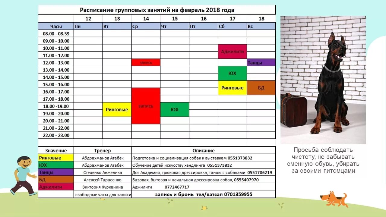 График года собаки. Расписание с собаками. График занятия с собакой. План дрессировки собаки. Расписание занятий с собакой.