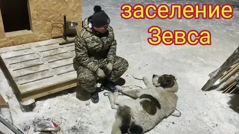 Ильины влог на дзен новое видео