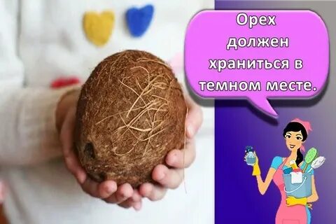 Сколько хранится кокосовое