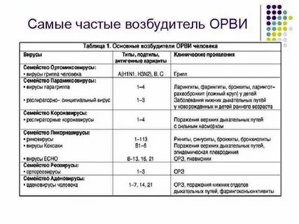 Возбудители дыхательных путей