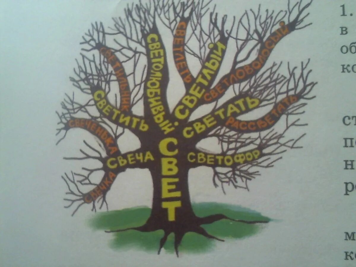 Пример использования слова дерево. Дерево с однокоренными словами. дере однокореныых слов. дерево однокореннхлов. словообразовательное дерево.