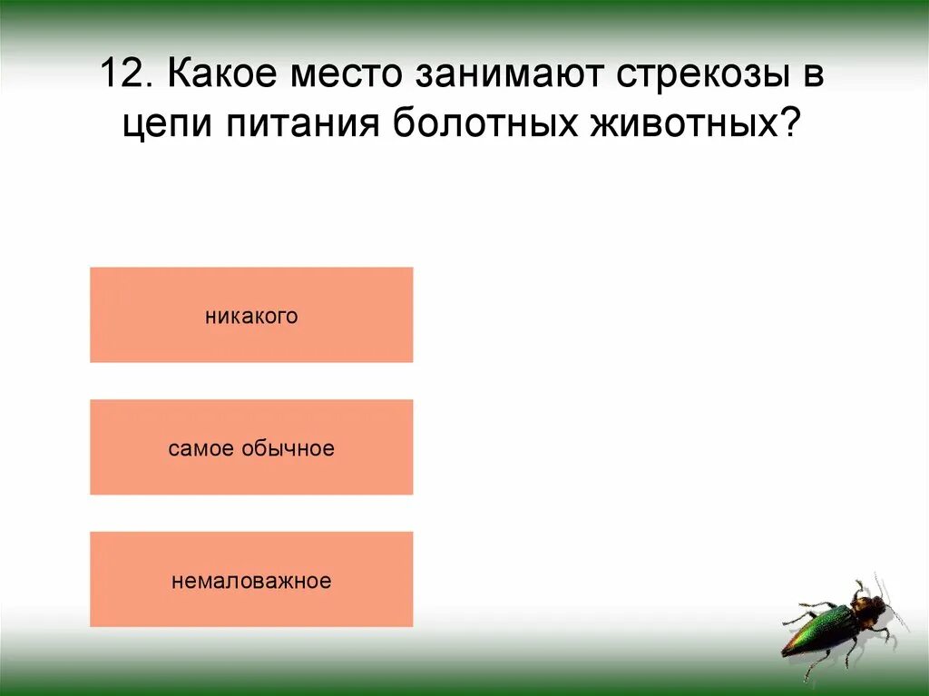 Цепь питания бабочки. Наземно воздушная цепь питания. Пищевая цепочка шакала. Цепь питания божьей коровки. Пищевая цепь стрекозы.
