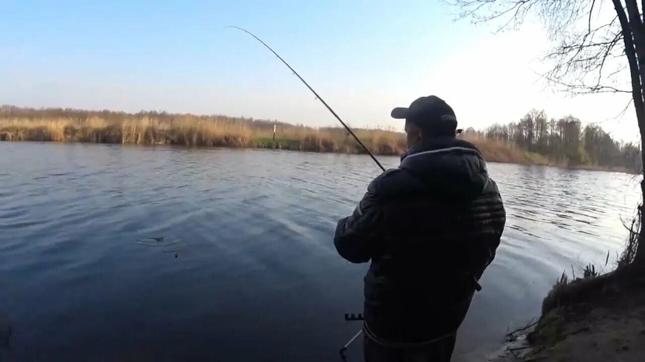 Весенняя рыбалка. Фидер (Рыбная ловля). Рыбалка на фидер весной. Весенняя рыбалка на реке Изнаир. Гнет рыбы