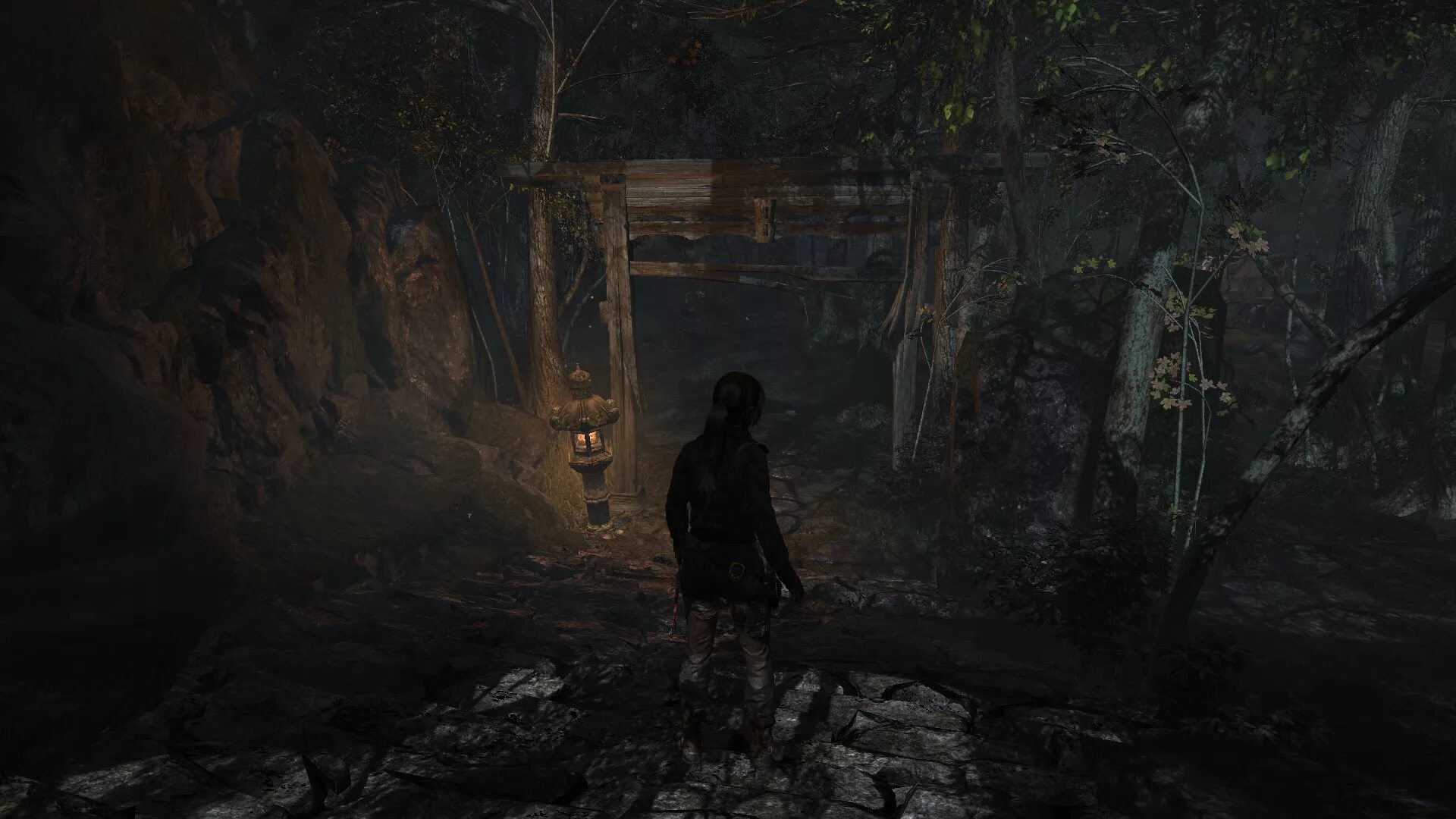 Deviant anomalies игра. Игры похожие на том. Игры похожие на том. Tomb raider игра кладбище. Топ ганг.