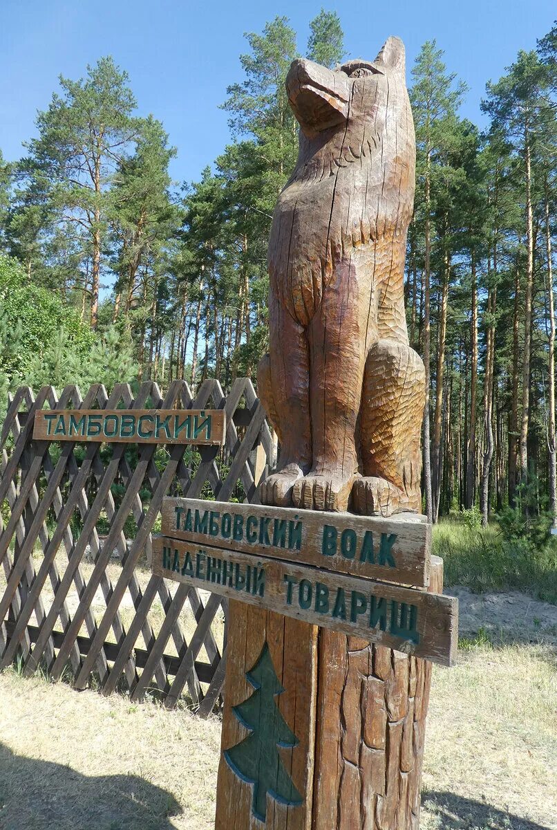 Памятник тамбовскому волку. Памятник Тамбовскому волку в Тамбове. Тамбовский волк тебе товарищ памятник в Тамбове. Октябрьская 95 Тамбов памятник волку. Тамбовский волк в Моршанске.